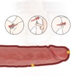Yeni Nesil Büyük Boy 28,9 cm Realistik Dildo Penis