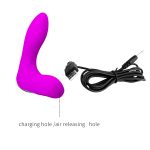 12 Fonksiyonlu Şişirilebilir Prostat Anal Plug – Leonard - Görsel 6