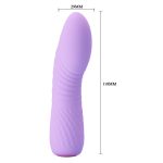 12 Fonksiyonlu USB Şarjlı Mini Vibratör – Lina (Lila) - Görsel 7