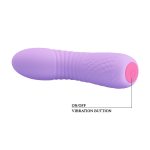 12 Fonksiyonlu USB Şarjlı Mini Vibratör – Lina (Lila) - Görsel 5