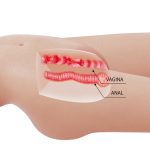 8.5 kg Soft Skin Çift Girişli Tam Boy Üst Gövde Mastürbatör – Mia - Görsel 8